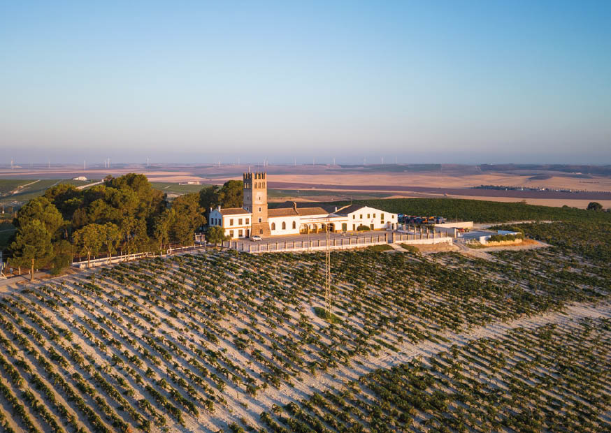 Bodegas De La Riva gallery image 6