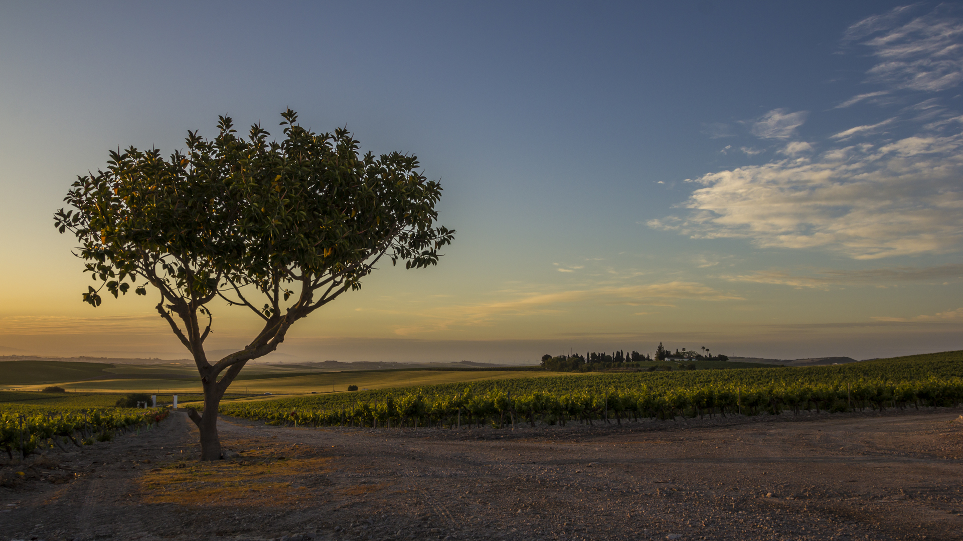 Bodegas De La Riva
