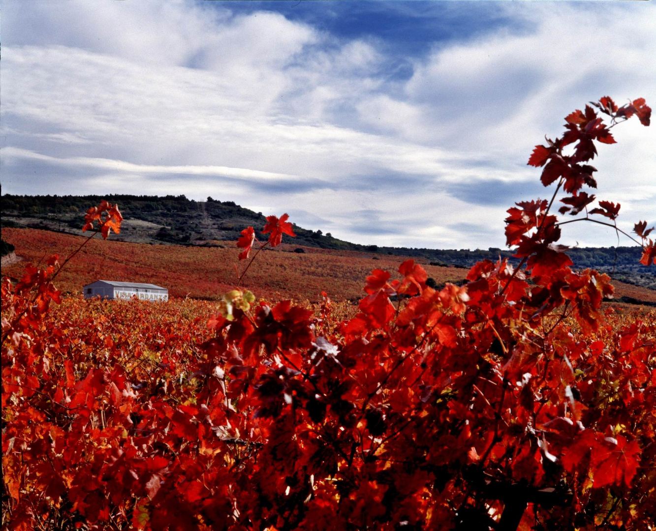 La Rioja Alta