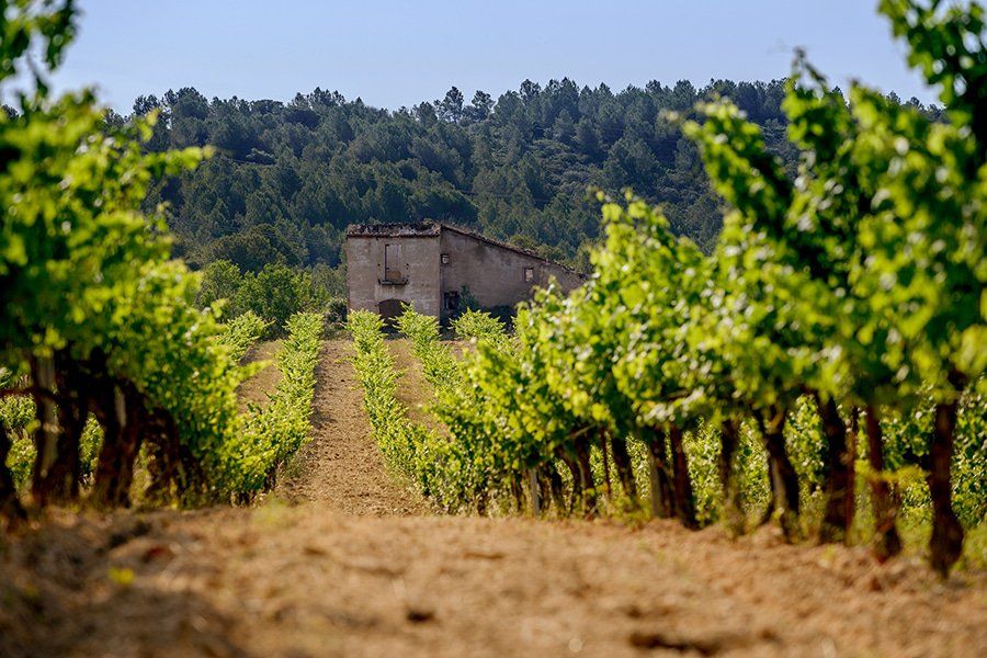 parés baltà gallery image 3