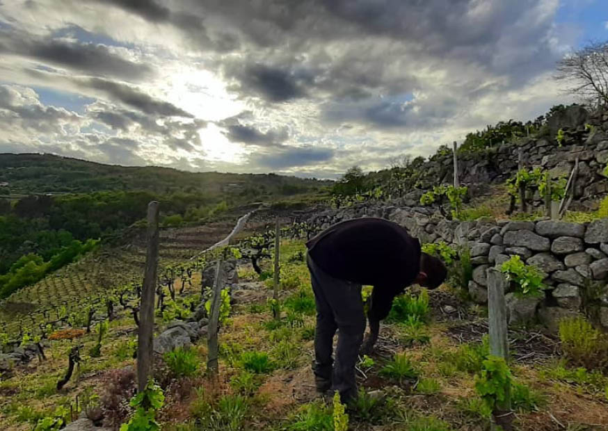 saíñas gallery image 2