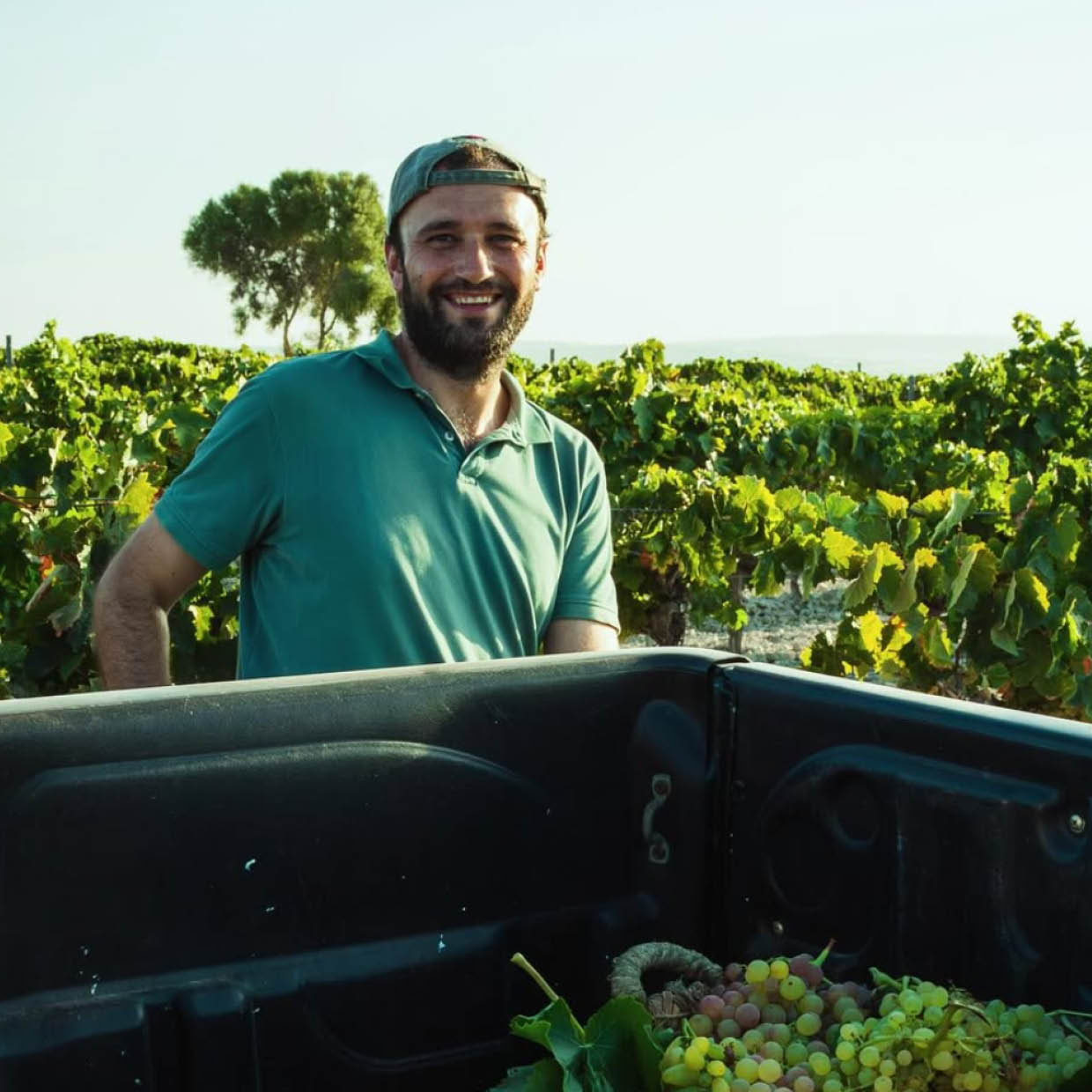 Bodegas Viuda de Manjón
