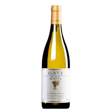 Gavi di Gavi 2024 Nicola Bergaglio