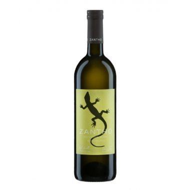 Burgenland Sauvignon Blanc 2024 Zantho